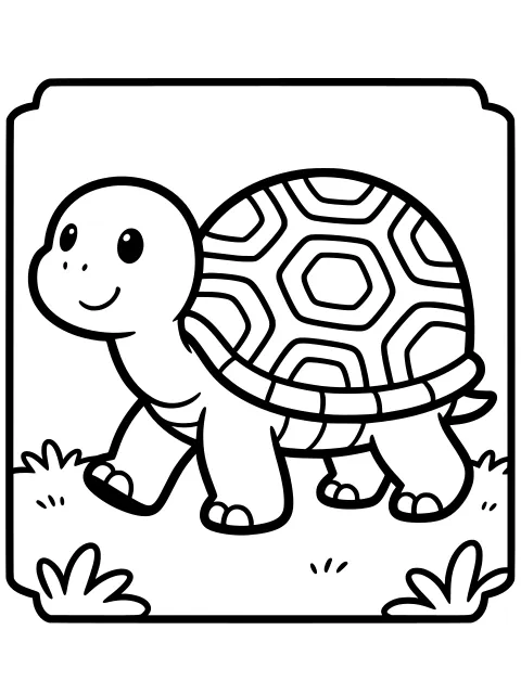 Little turtle colouring page